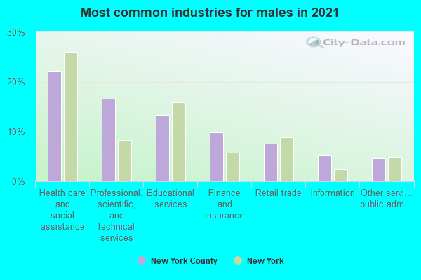 Most common industries for males in 2022