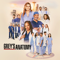 圖示圖片：Grey's Anatomy (VOST)