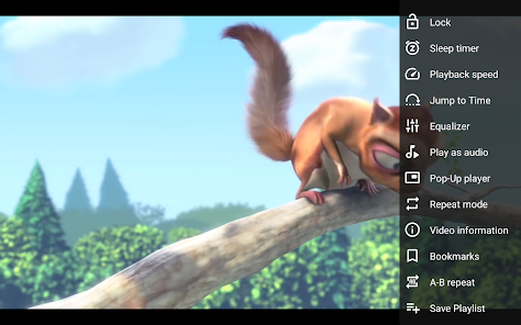 Screenshot image