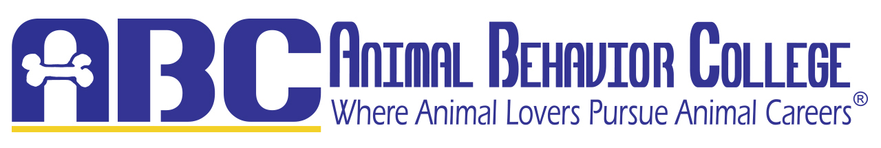 Animal Behavior College