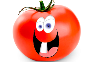 Tomatao