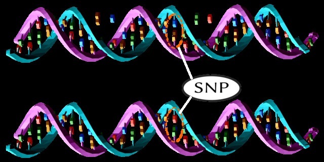 Simulate_a_SNP_Pair