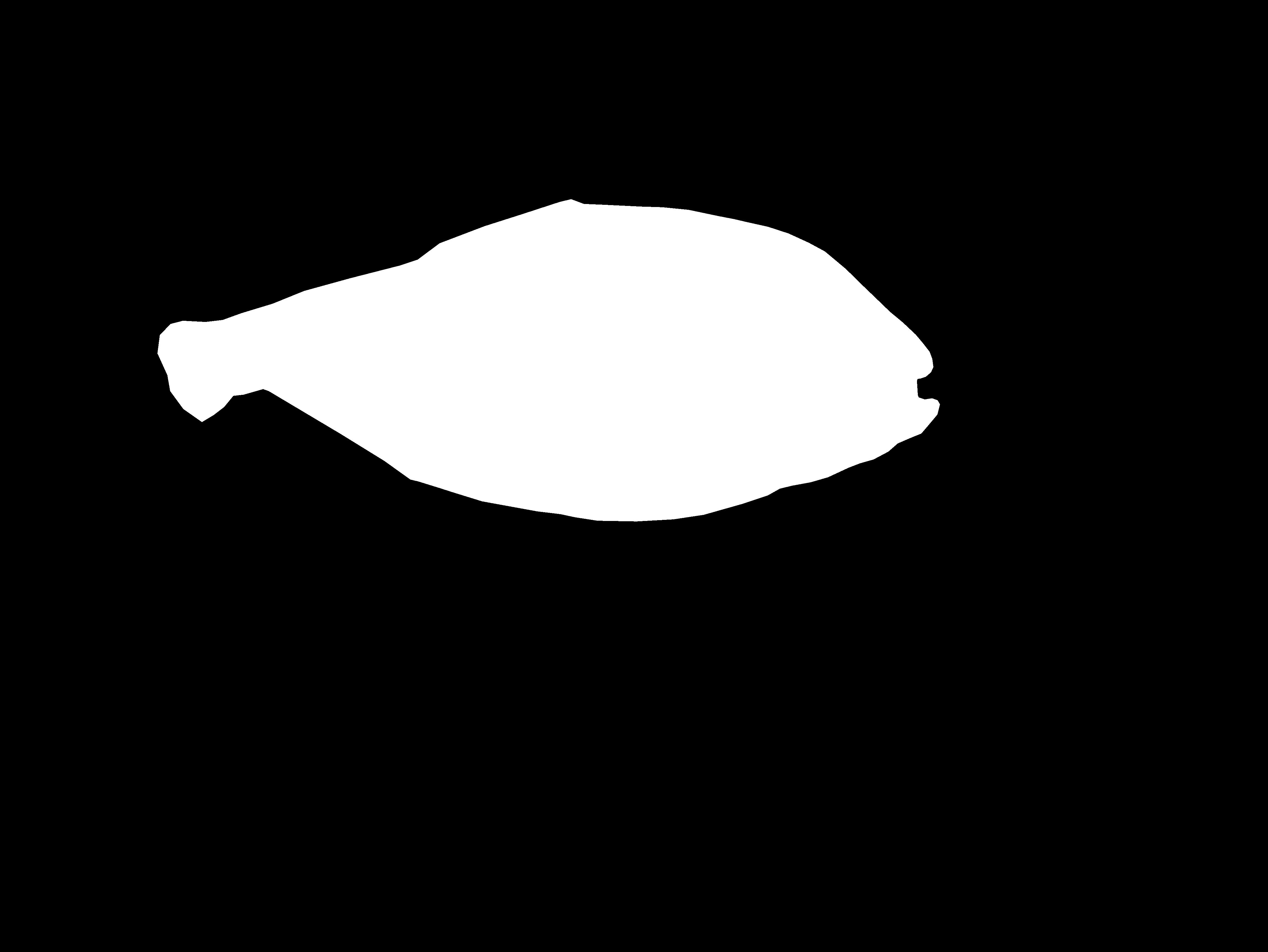 estimate_body_fish_weight