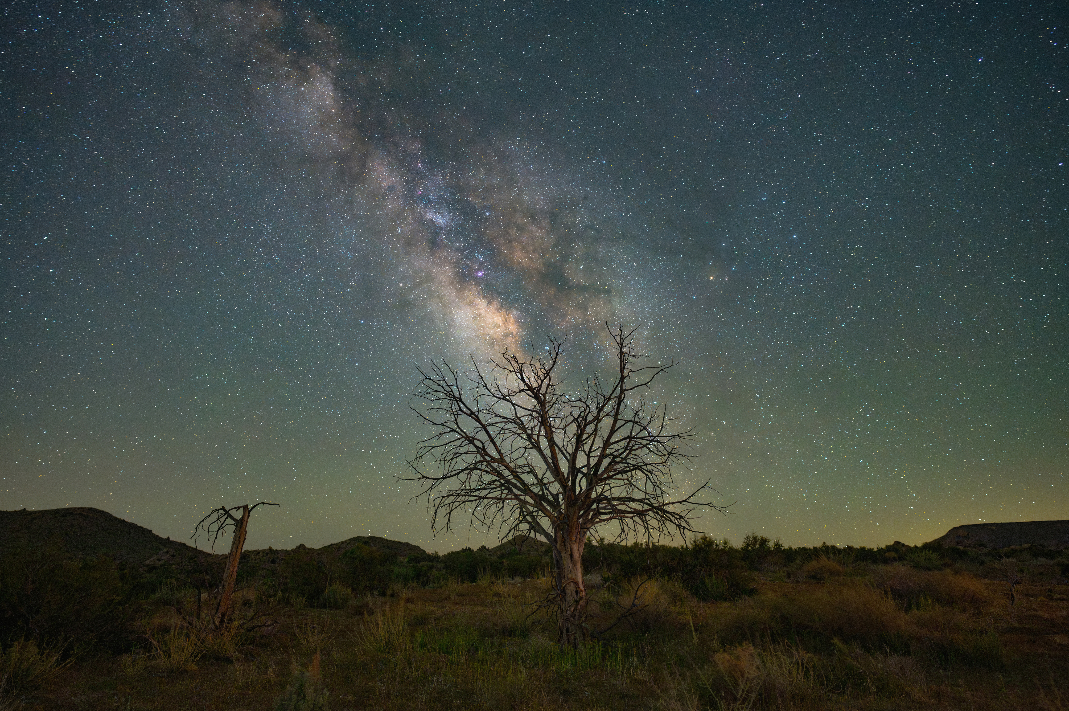 What’s Up: November 2024 Skywatching Tips from NASA