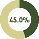 Chart 45% green and 55% light green