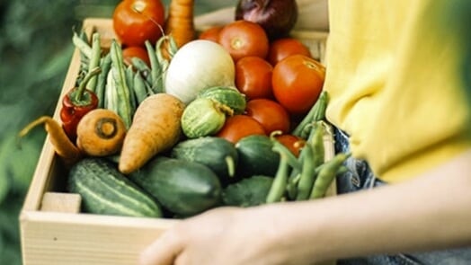 Personne portant un cageot de légumes