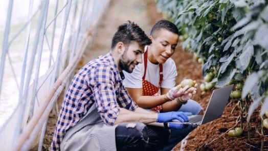 Plantes vertes luxuriantes en surimpression dans un bureau